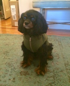 Parker in a Puffer
